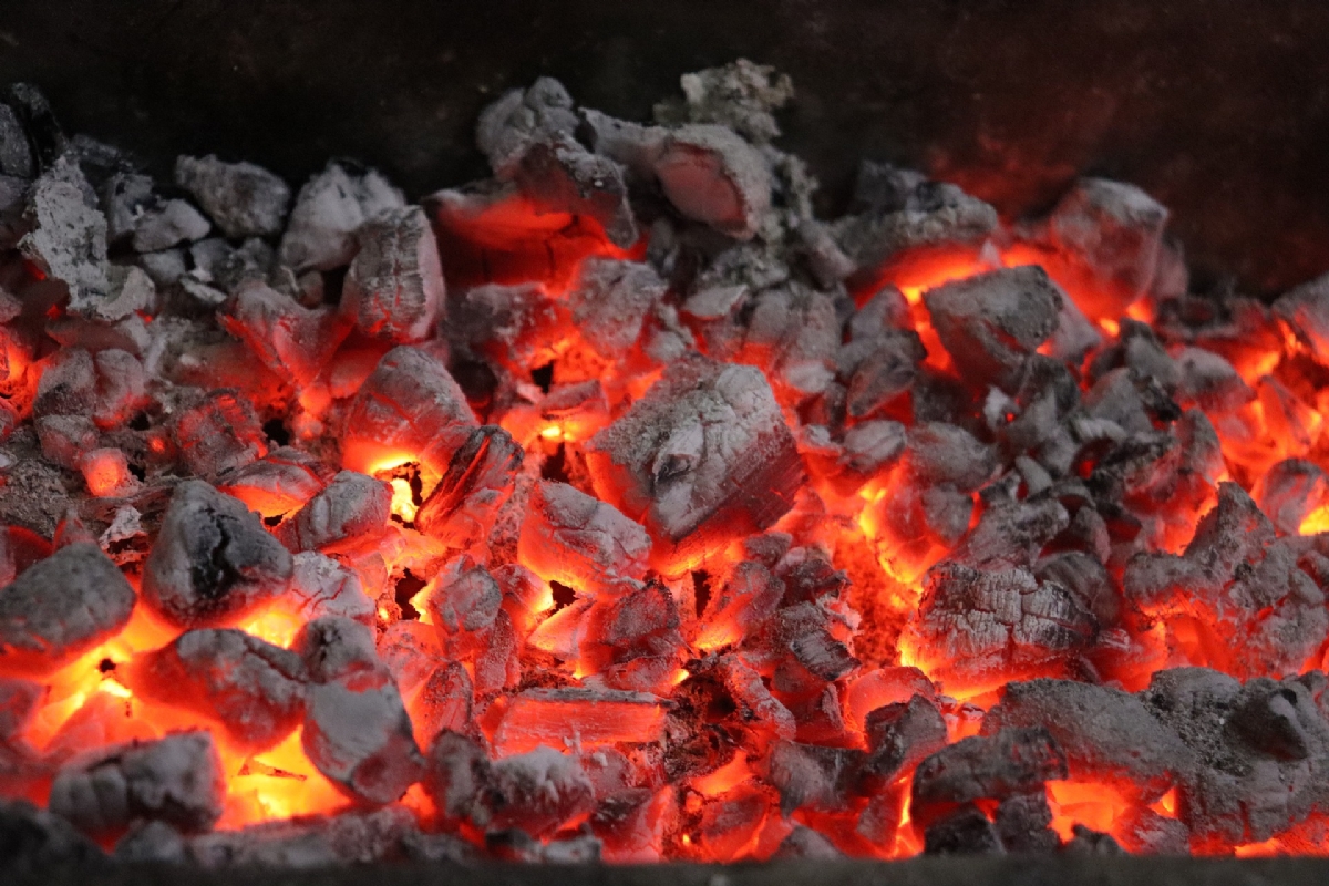 Mangal Kömürleri